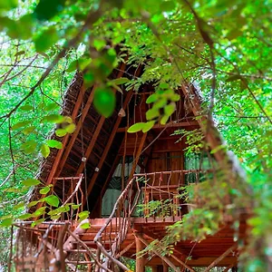 3* Курортный комплекс Tree House Ambasewana